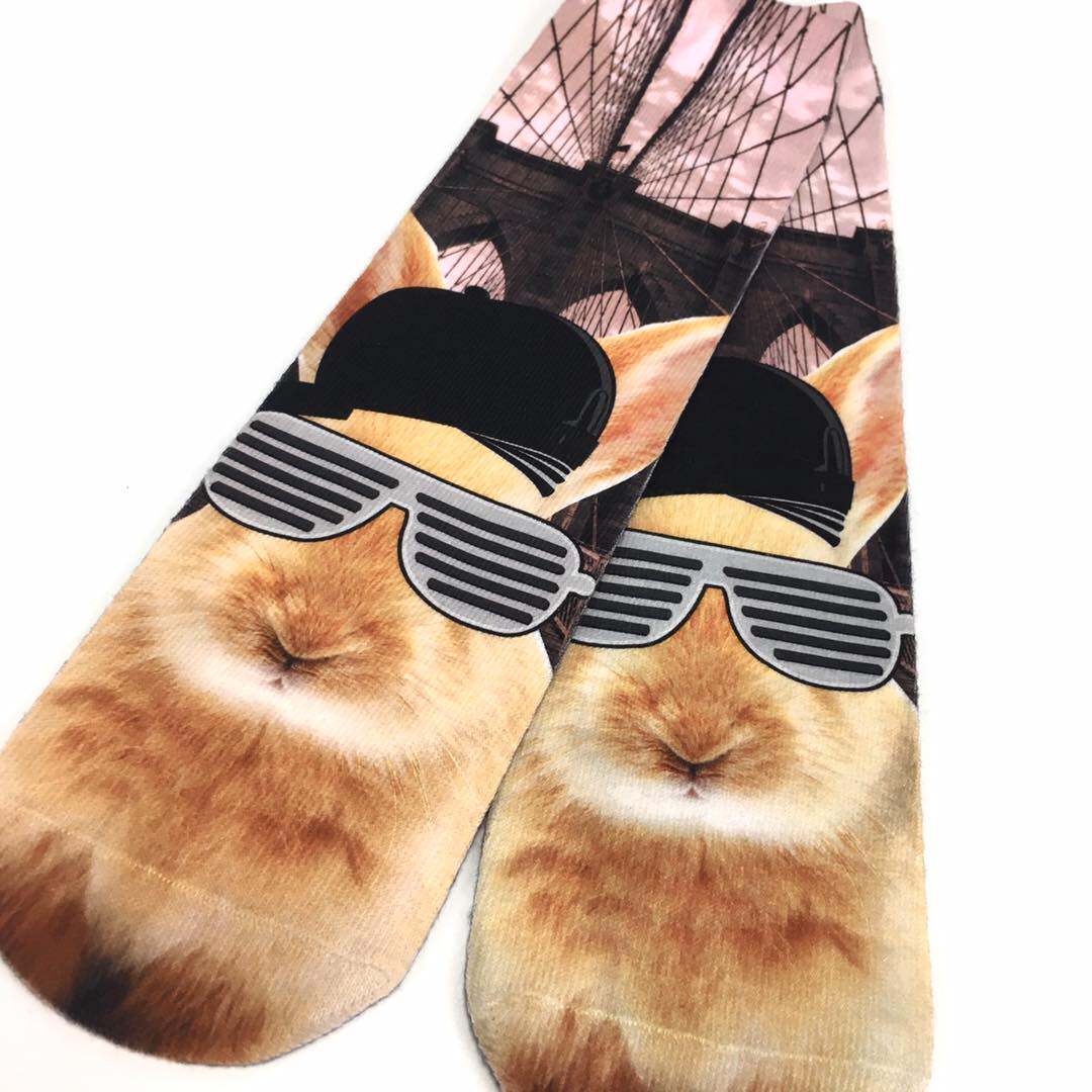 Lapin hip-hop