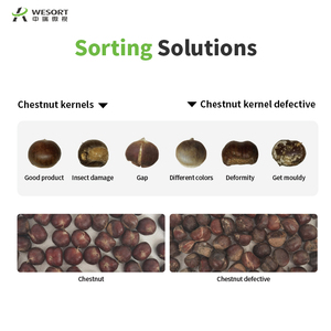 WESORT Fabricante 6SXZ-68LGB Maquinaria de procesamiento de frutos secos de acero inoxidable Clasificador de color de avellanas - Product Image 4