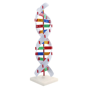 Modelo de estructura de ADN 3D, modelo educativo de biología plástica, estructura de ADN genética, juguete, modelo de estructura de doble hélice de ADN - Product Image 3