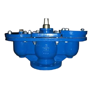 组合放气阀DN50 2螺纹法兰连接组合放气阀 - Product Image 1