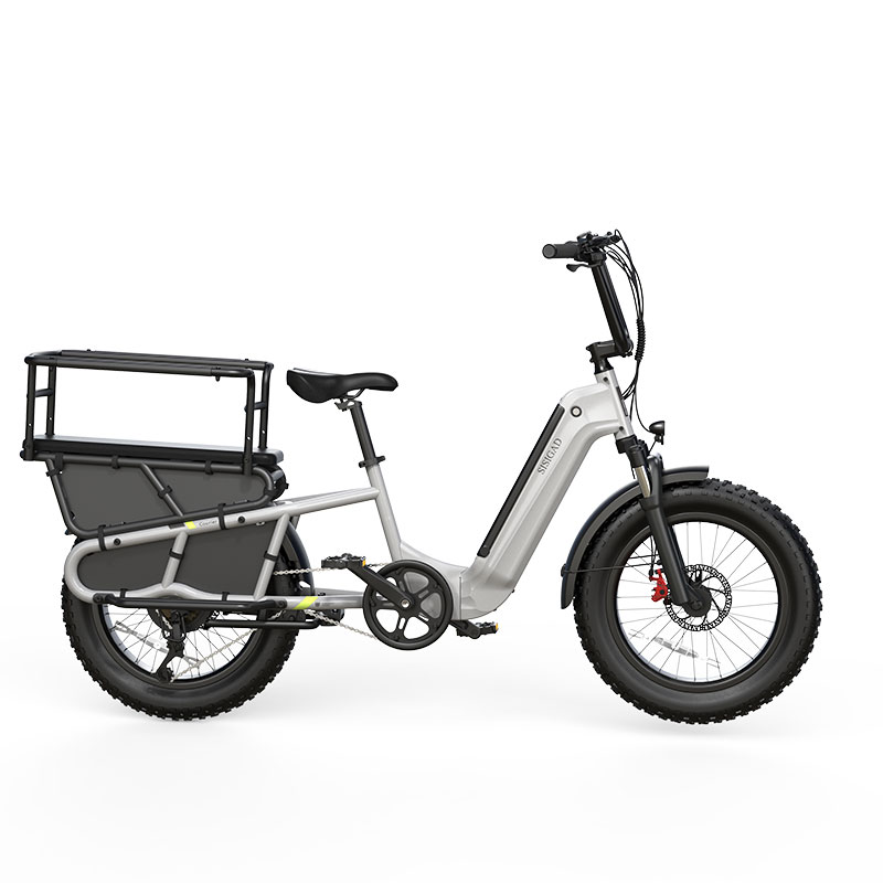 Vélo cargo électrique gris clair