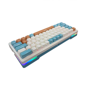 <strong>Custom</strong> 63-Keys RGB Mechanical Gaming <strong>Keyboard</strong> Tri-mode USB Interface Fashion Plastic Hot Swap RGB Mechanical <strong>Keyboard</strong> - Product Image 4