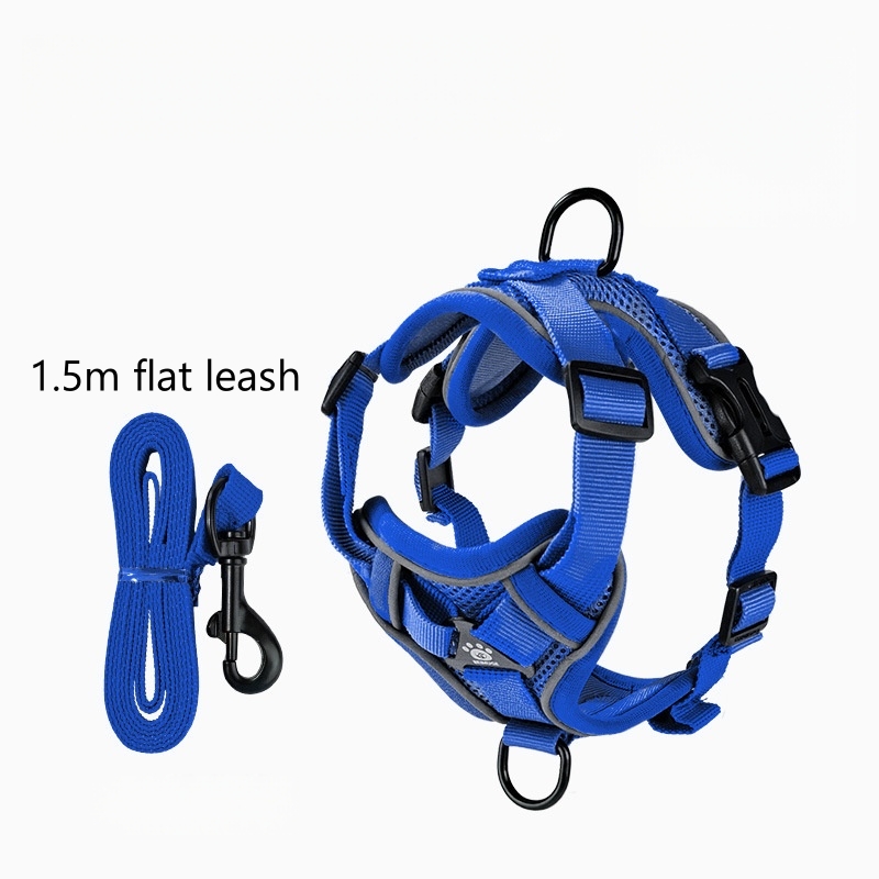 Ensemble de laisse bleu