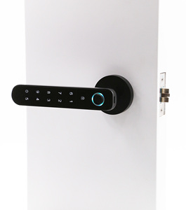 Fabrika fiyat akıllı kolu kilit akıllı kapı kolu kilitleri ile ev Ttlock Tuya kodu için parmak izi anahtarsız giriş kilidi açık - Product Image 3
