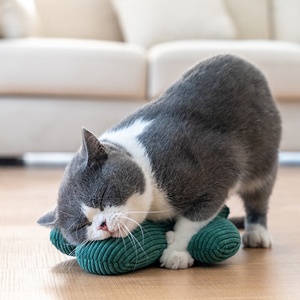 Juguete de hierba gatera Diente de gato juguete para gato lamiendo gato menta refrescante respiración que regula los intestinos Diente de juguete de hierba gatera - Product Image 3
