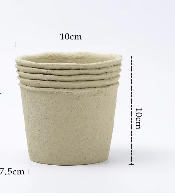 Paper Pulp, Off-White, Small Size 10cm