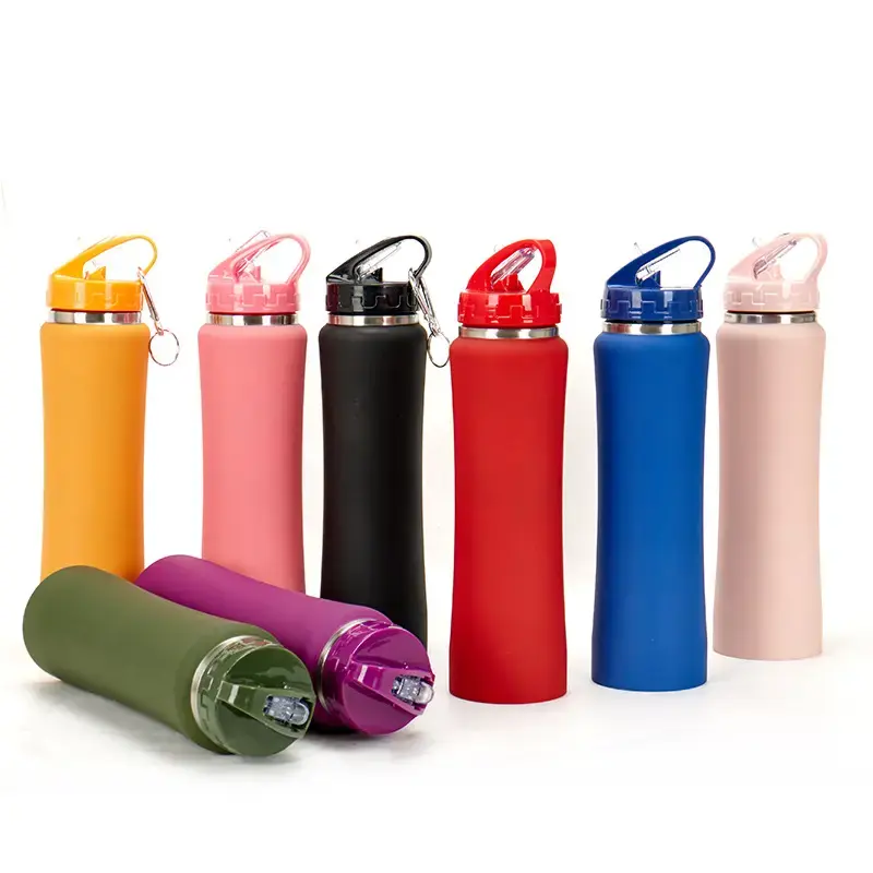 Customized Gym Sports Wide Mouth with Carabiner Lid Flip Straw 750nl Stainless Steel Vacuum Water Bottle