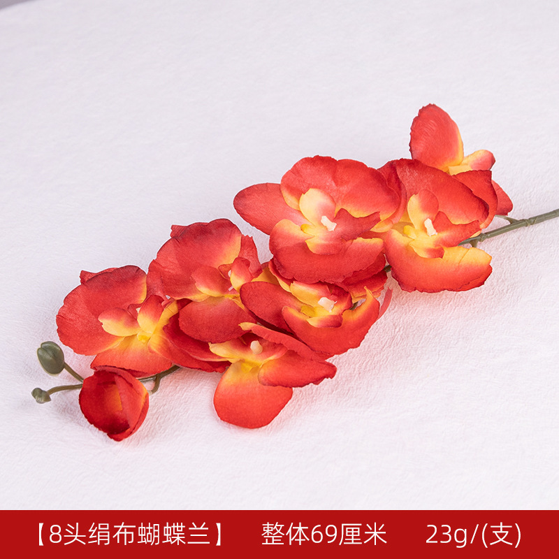 Phalaenopsis en tissu de soie B