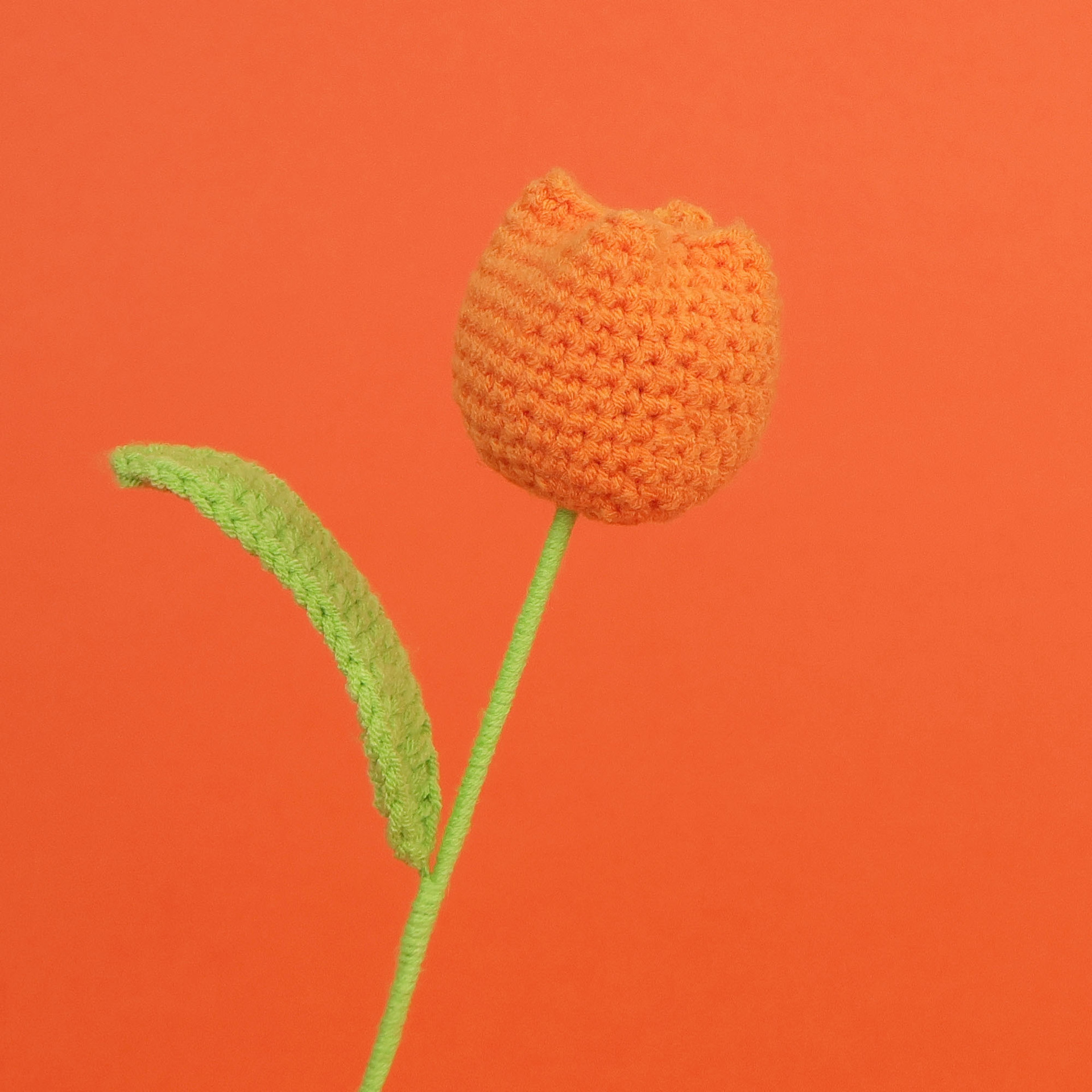 Tulipe orange-grasse simple-grande