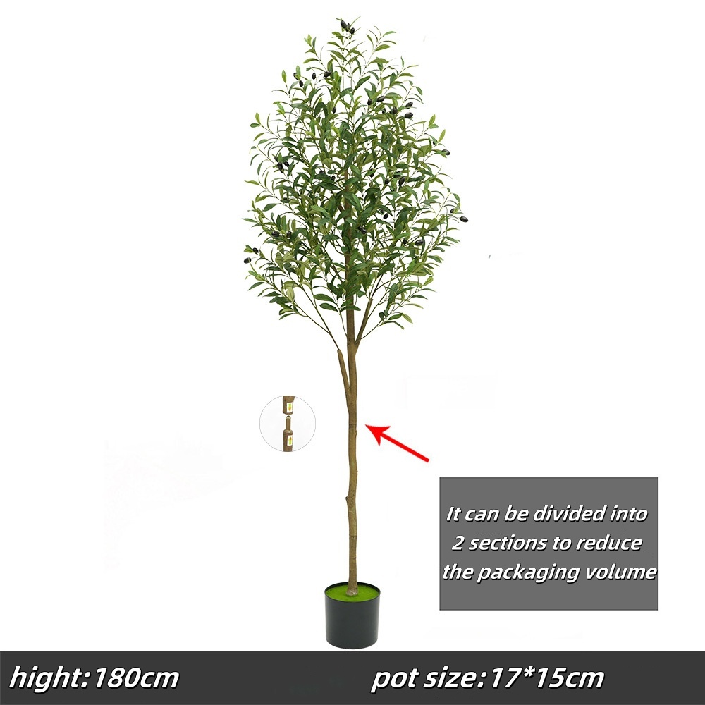 180cm olive tree, c-packaging 46cm