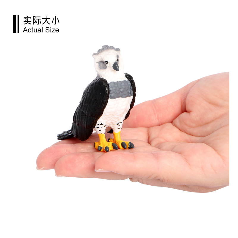 3075 Aigle harpyie