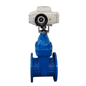 China Professional DN50 to DN400 Electric Standard Water Ductile Cast Iron 6 Inch Flanged Gate <strong>Valve</strong>