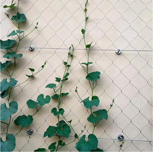 Rotolo di protezione per l'agricoltura da giardino con rete Anti-uccello realizzato su misura da giardino in plastica resistente HDPE PE 19mm - Product Image 2