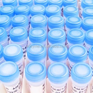 Tinzyme <strong>Gene</strong> Synthesis,Short Cycle,Reliable and Advanced <strong>Gene</strong> Synthesis Technology - Product Image 3