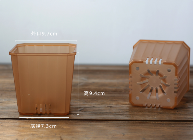 marron transparent