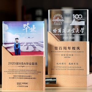 拥有独特水晶奖杯的流行模特刻有奖牌实木优秀员工年度纪念奖杯 - Product Image 2