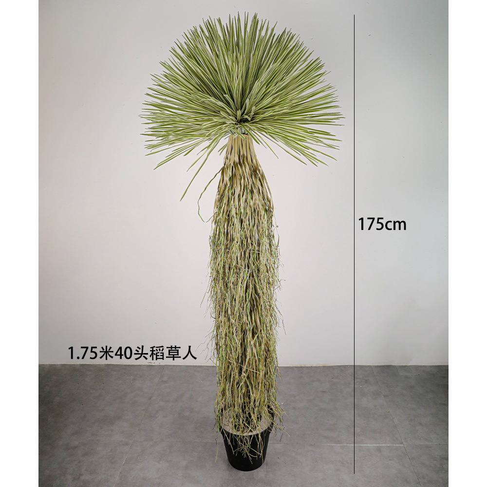 175 cm
