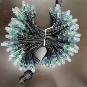 12mm RGB Full Color Pixel LED modulo luci stringhe 50LED 100 DC 5V ingresso PVC corpo IP68 impermeabile digitale LED Pixel - Product Image 2