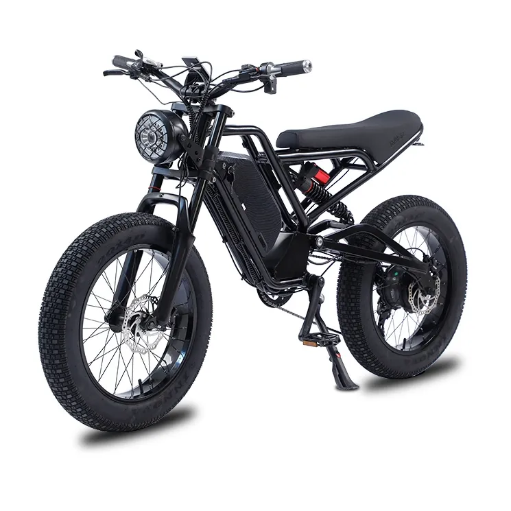 Nuovo stile 20 pollici fat tire bici elettrica 48v 750w 48v 1500w e-bike ad alta potenza due grandi ruote snow beach fat tire ebike