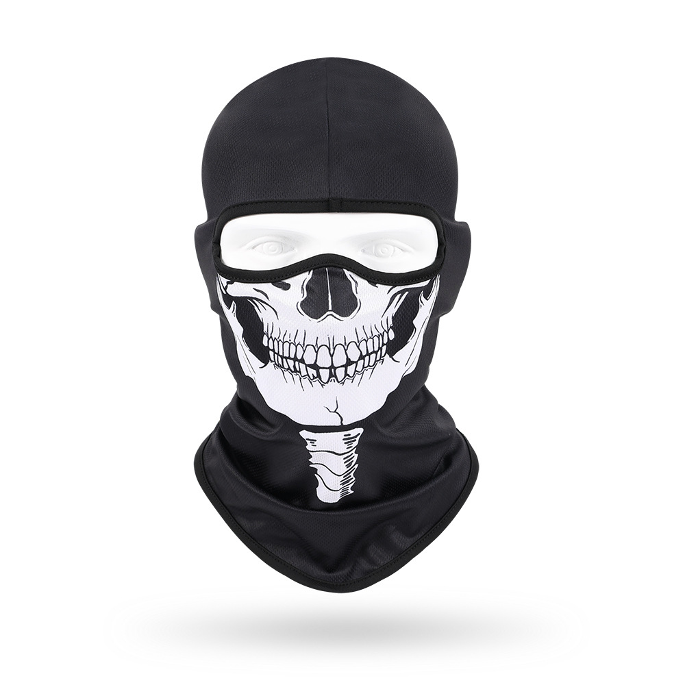 Cracked white skull