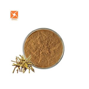 Estratto di corteccia phellodendron amurense estratto di corteccia Phellodendri chinensis estratto di corteccia Phellodendri - Product Image 2