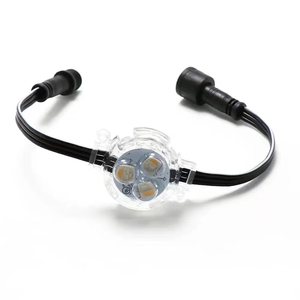 Piksel Led noktası açık renk Ful ev saçak ışık dekoratif Ip68 su geçirmez kalıcı piksel Soffit aşağı ışık - Product Image 2
