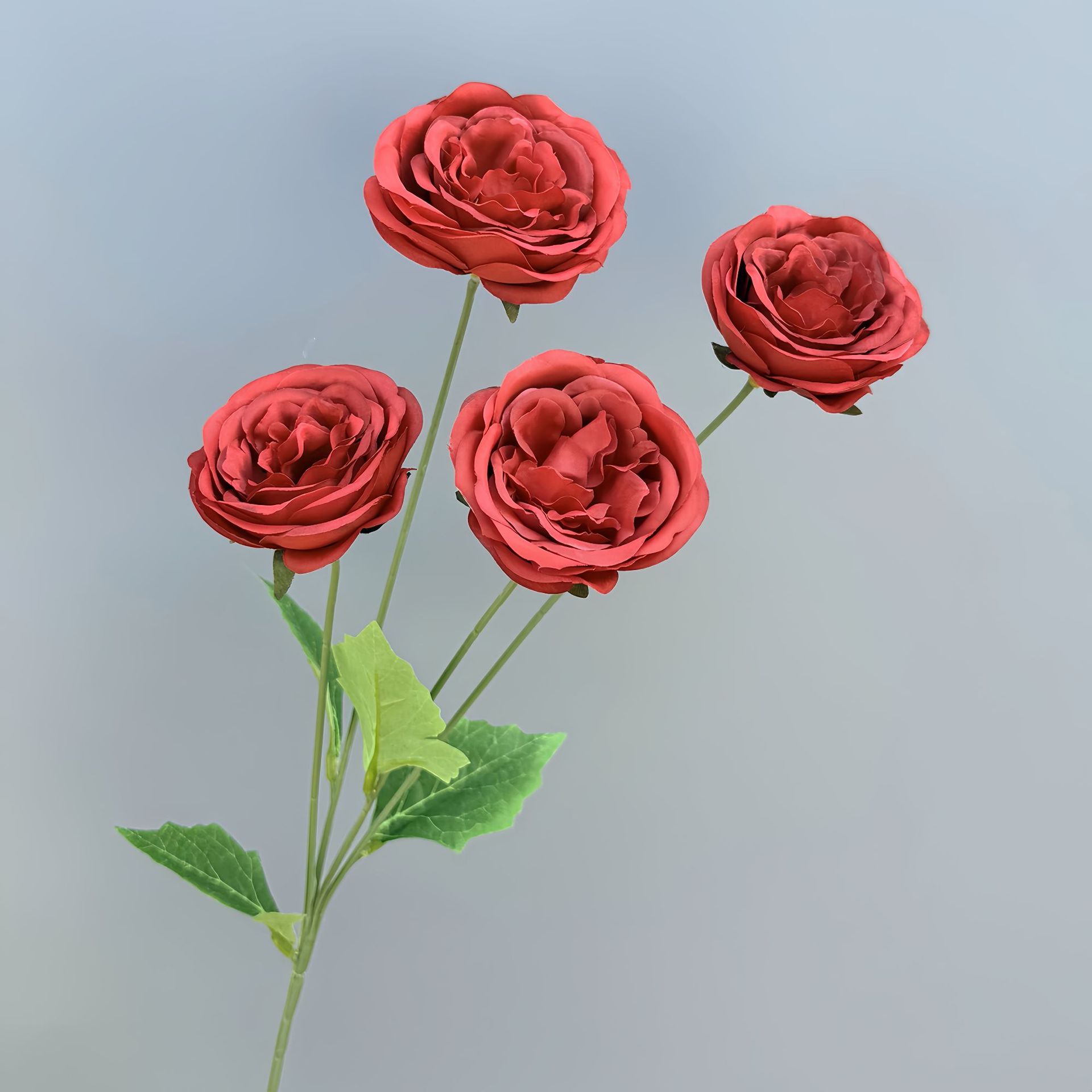 4 têtes Austin - Rouge - 60cm