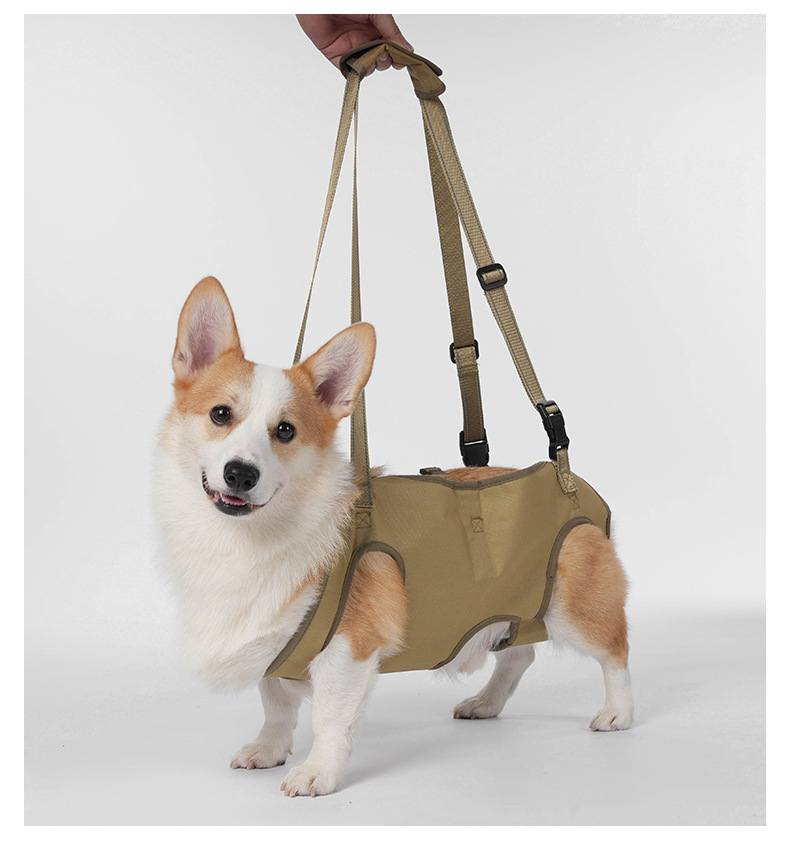 Dark Khaki