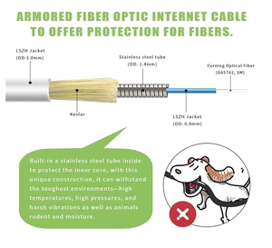 2025 çin OS1/SC uyumlu SC/APC SC/APC Fiber optik Internet kablosu zırhlı tek modlu yama Jumper SIMPLEX - 9/125um - Product Image 2