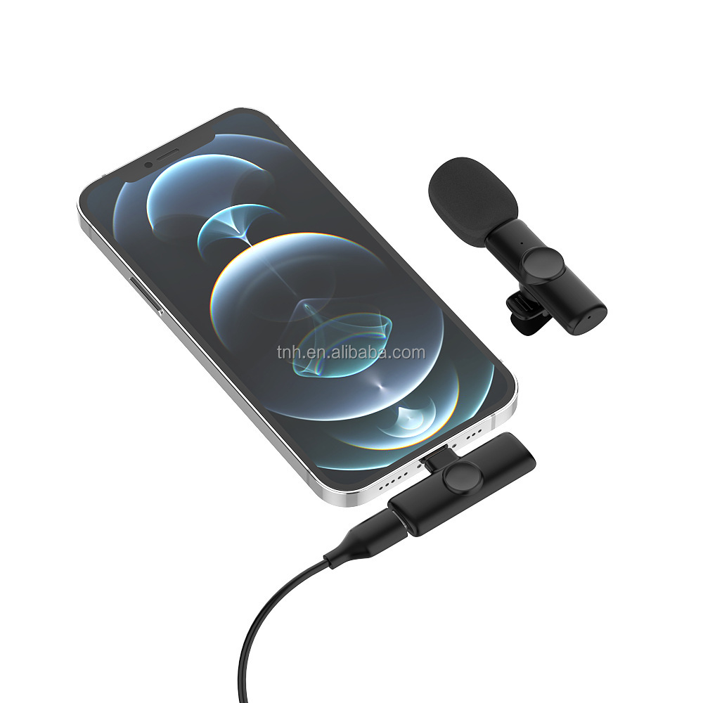 black 1 Mic For Type C