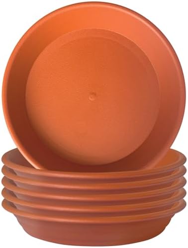 7.5" (5.9" at base) - 6 in - terra cotta