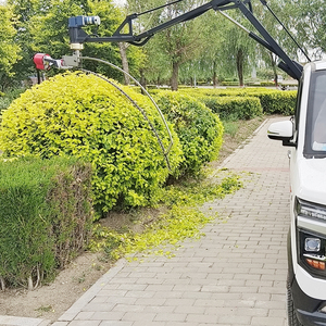 İngiltere'de hassas bahçe şekillendirme için YG akülü çit düzeltici