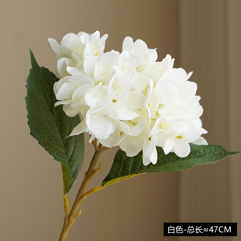 Blanc