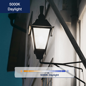 Strenge Qualitäts kontrolle Dämmerung bis Morgengrauen <span class=keywords><strong>LED</strong></span> A19 Lampe 120V 9W E26 Lichtsensor PC-Lampe mit Haus eingang Zertifiziert mit FCC ETL - Product Image 4