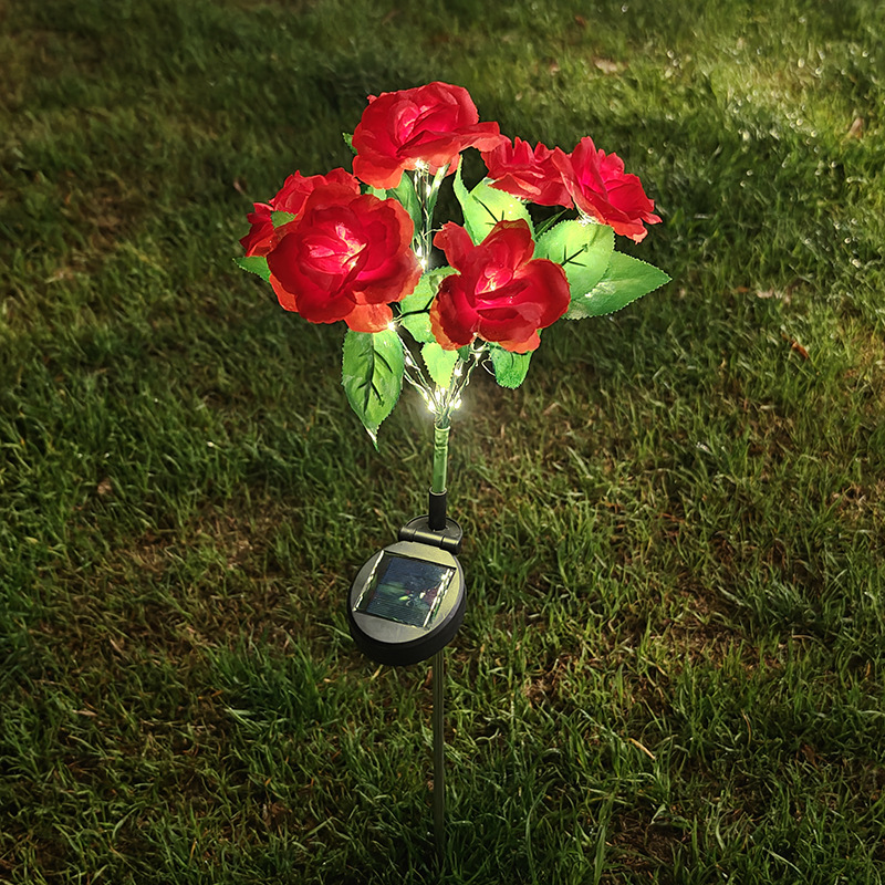 Red Rose