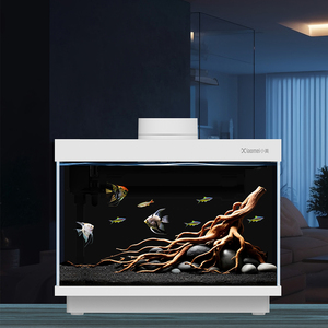 ถังตู้ปลาแก้วขนาดเล็กแบบอัจฉริยะใหม่สำหรับตกแต่งโต๊ะน้ำชาในสำนักงานและให้อาหารเดสก์ท็อปอเนกประสงค์หรืออุปกรณ์เสริมกลางแจ้ง - Product Image 3