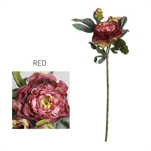 Rouge