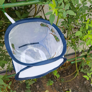 Pop-up Clear View Bug teraryum ve örgü sürüngen muhafaza ile yeni Mini evcil hayvan kafesi böcek ve kelebek yaşam alanı - Product Image 6