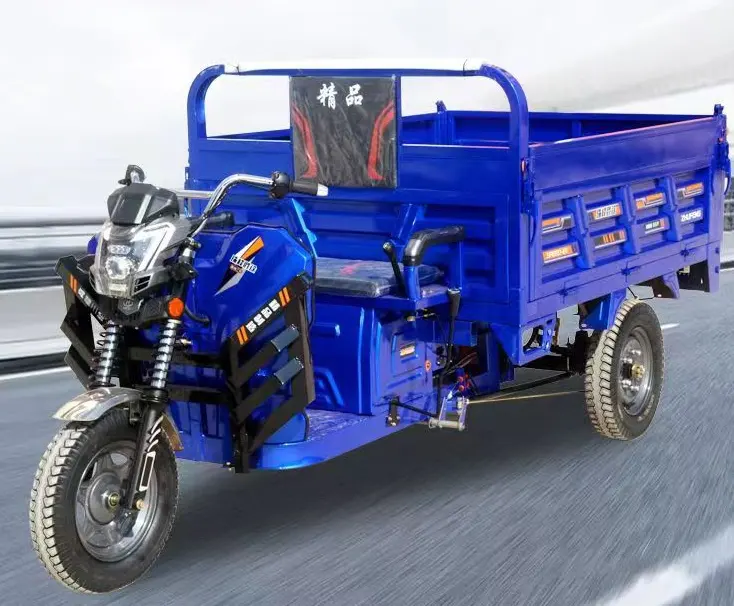 China Farm Use Load King Three-wheeled Passenger Freight Transport Electric Tricycle