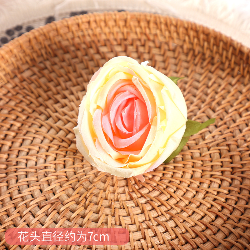Rose Royale - Jaune Champagne