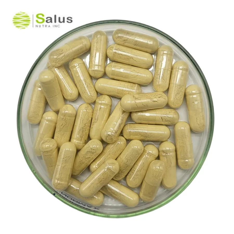 St Johns Wort capsule di erba di St Johns integratore 7X estratto concentrato 0.3% ipericina OEM Private Label