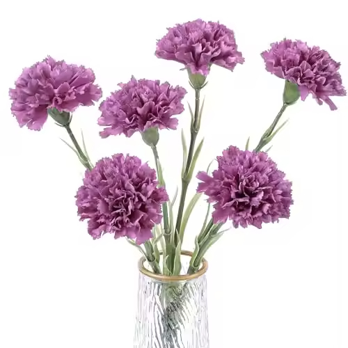 สีม่วง