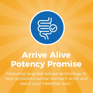 Offre de vente chaude Lactobacillus Reuteri Plantarum désintoxication lyophilisée Suppléments pour femmes adultes Capsules de probiotiques vaginaux - Product Image 4