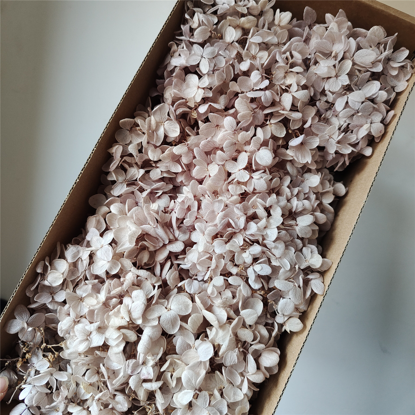 Special offer-light fragrant taro-wood hydrangea-90-100g per box