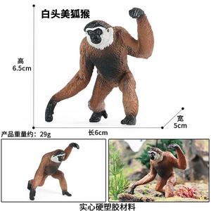 Yxs mô phỏng đồ chơi trẻ em tĩnh rắn đầu trắng Mỹ vượn cáo hoang dã mô hình động vật nhỏ khỉ vàng khỉ Vua giảng dạy - Product Image 4