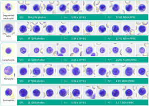Eurvet công nghệ mới nhất All-in-1 ai động vật phòng thí nghiệm giải pháp thử nghiệm thiết bị thú y máu huyết học <span class=keywords><strong>Analyzer</strong></span> thú y CBC - Product Image 6