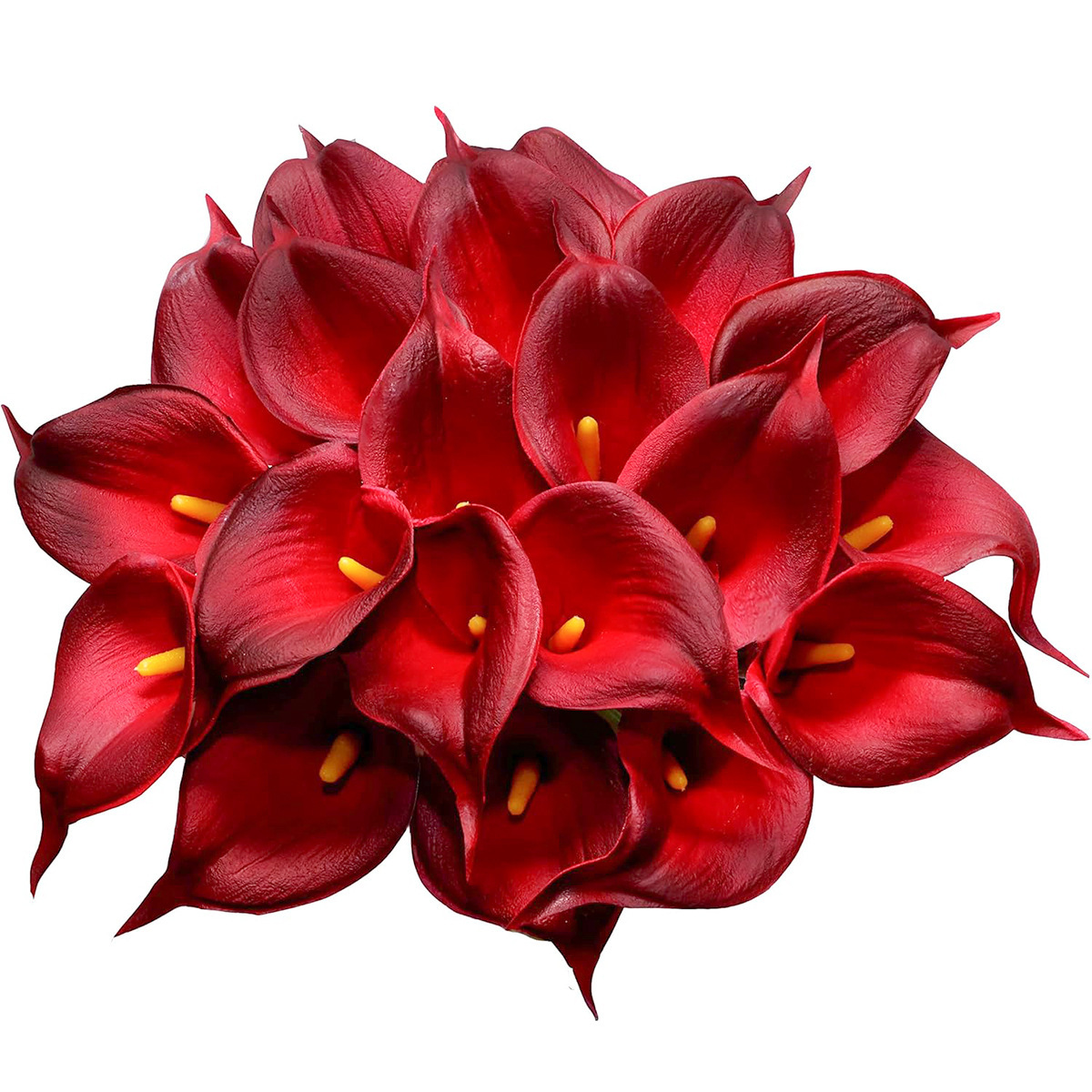 Centro rojo, borde negro con estambre amarillo.