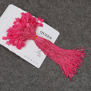 Hangtag Lock Custom Relieve Brand Name Logo String Cord Plastic Swing Loop Hang Tags Seal String para prendas de vestir