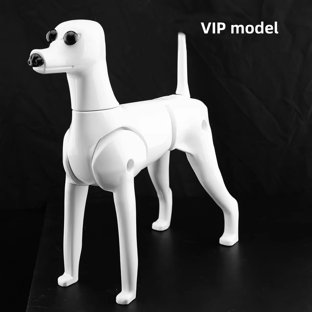 Squelette VIP