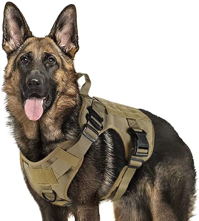 Protezione completa del corpo addestramento tattico per cani gilet da trekking da passeggio imbracatura per cani da lavoro gilet Molle